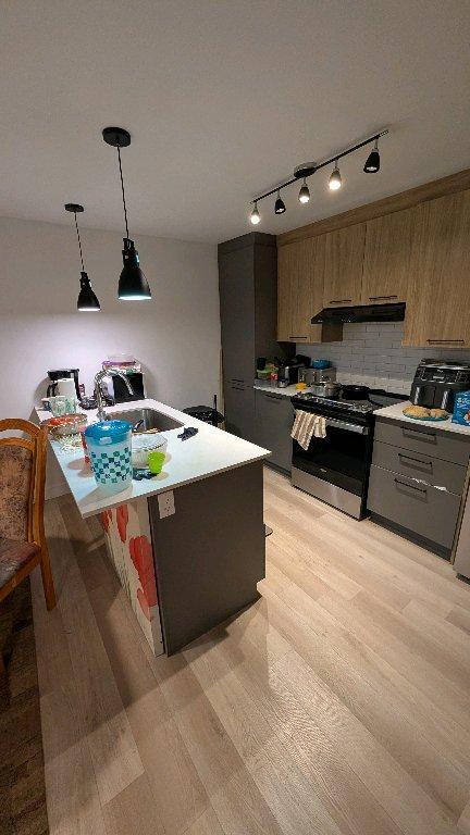 location( arrêt de bail) | 3200423