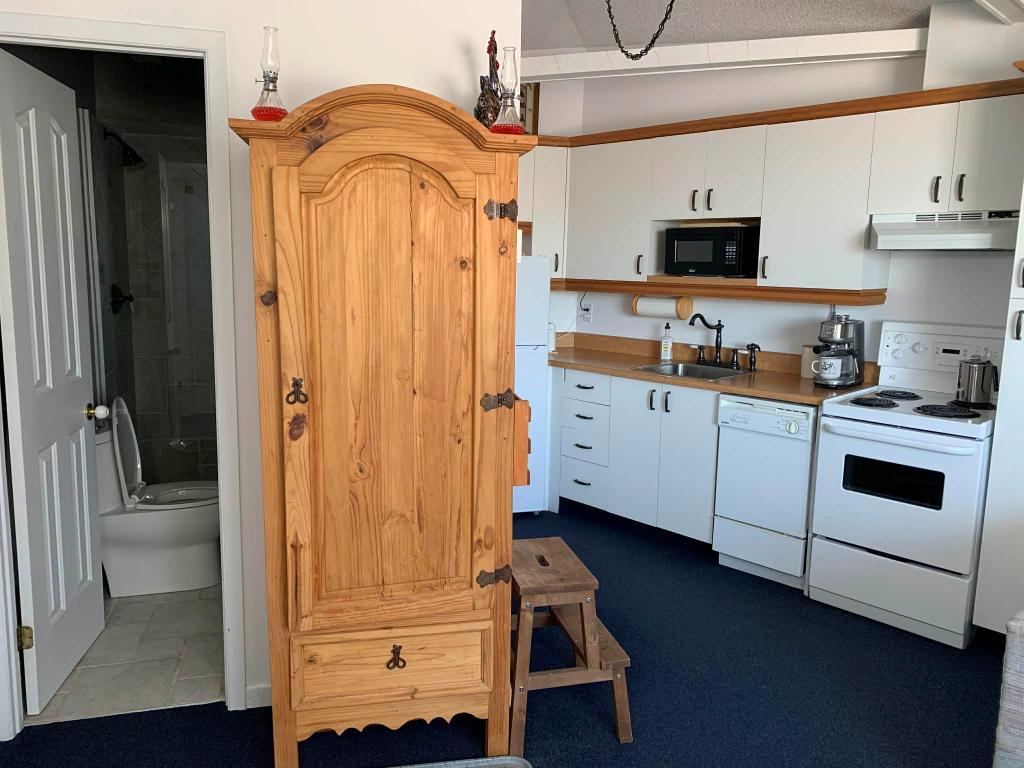 Petit 3 1/2 meublé et équipé | 3198148