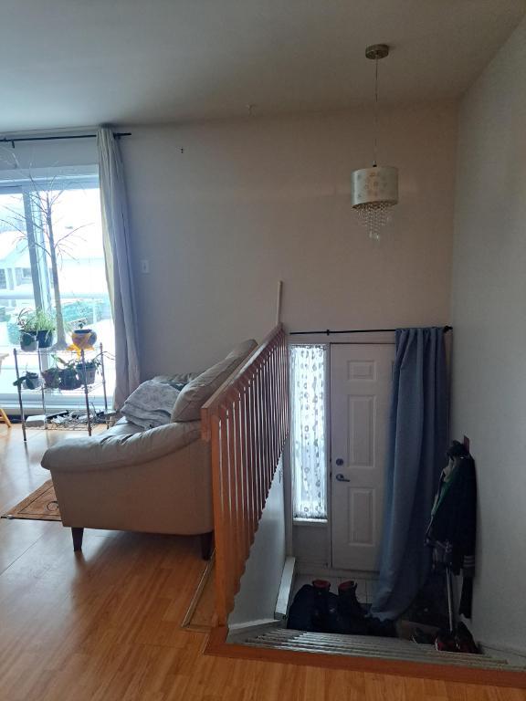 4 1/2 Lévis centre-ville, UQAR, proximité autoroute | 3198151