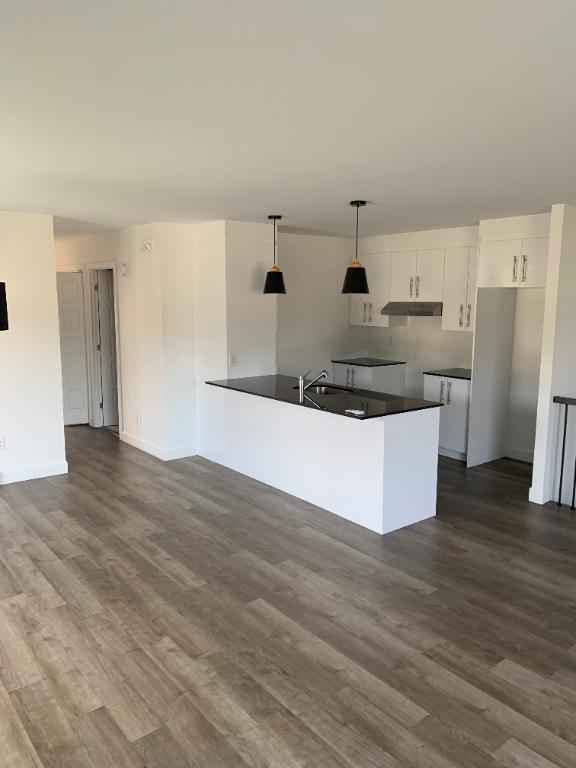 Superbe logement 7 1/2 à St-Nicolas, 1er étage, climatisé, 2 STATIONNEMENTS EXTÉRIEURS INCLUS, LIBRE LE 1ier février 2026. | 3198156