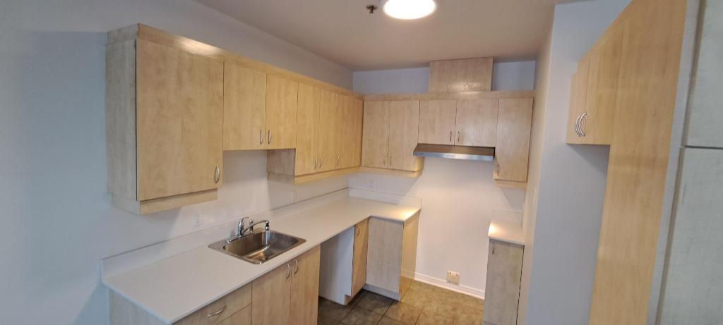 Grand 3 1/2 RENOVER, Saint-Eustache avec clientèle établi de 55+ ans | 3198166