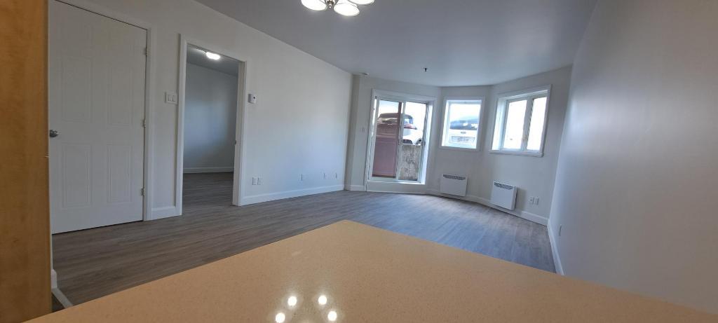 Grand 3 1/2 RENOVER, Saint-Eustache avec clientèle établi de 55+ ans | 3198166