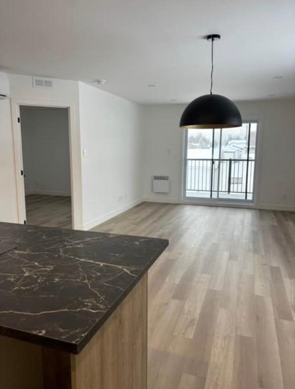 Appartement 31/2 neuf à louer St-Isidore Beauce | 3198168