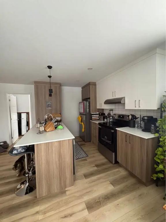 Appartement 4.5 à louer - Ville de Joliette | 3198170