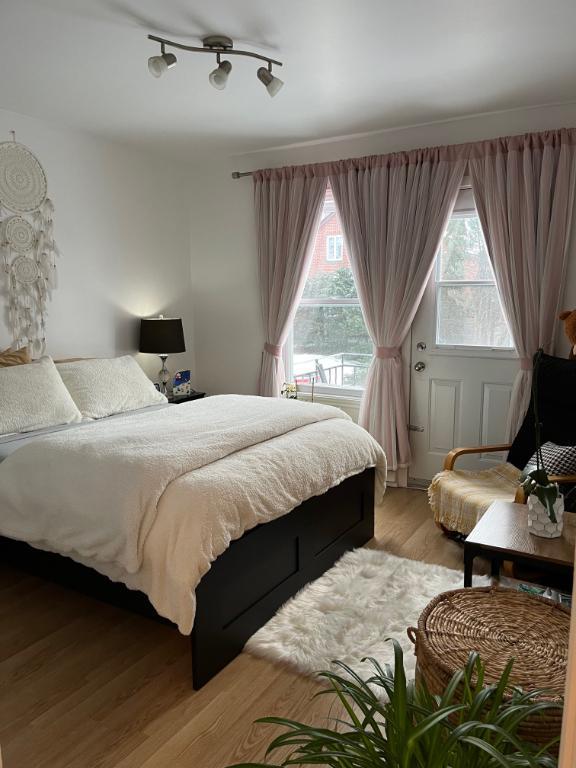 3 1/2 très ensoleillé Vieux Longueuil 1260$/mois à partir du 1 mars | 3198530