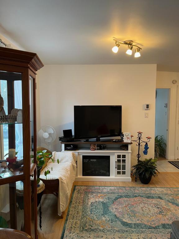 3 1/2 très ensoleillé Vieux Longueuil 1260$/mois à partir du 1 mars | 3198530