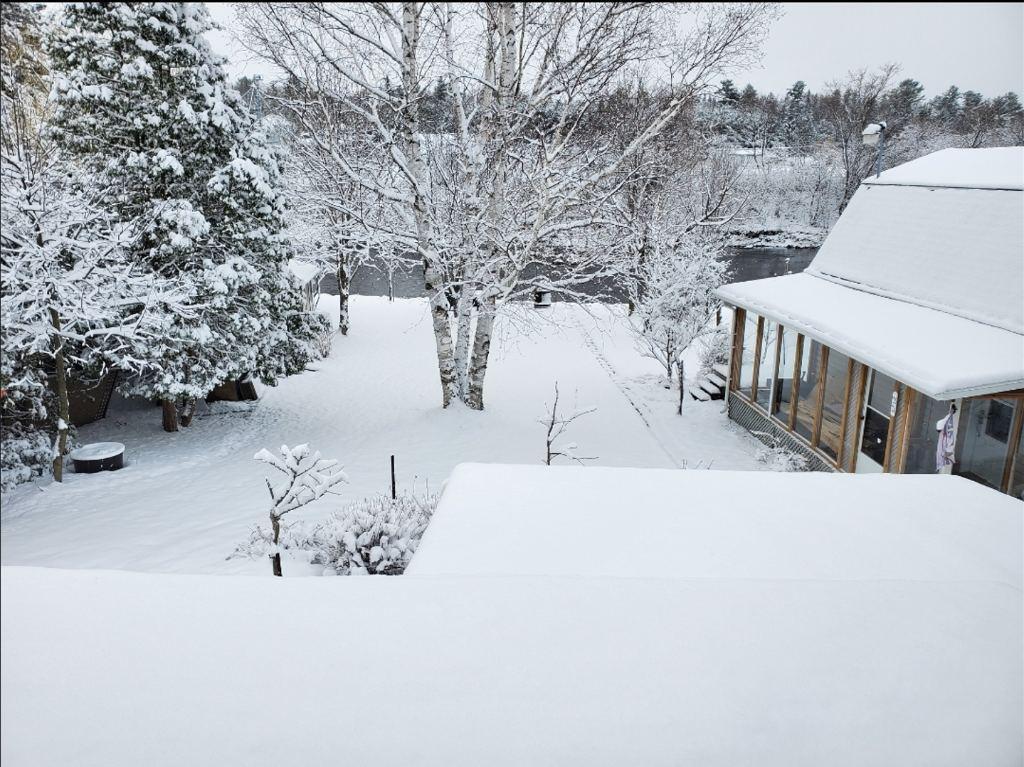 4 et demi Accepte animaux | 3198234