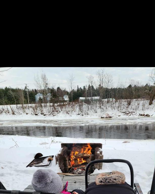 4 et demi Accepte animaux | 3198234