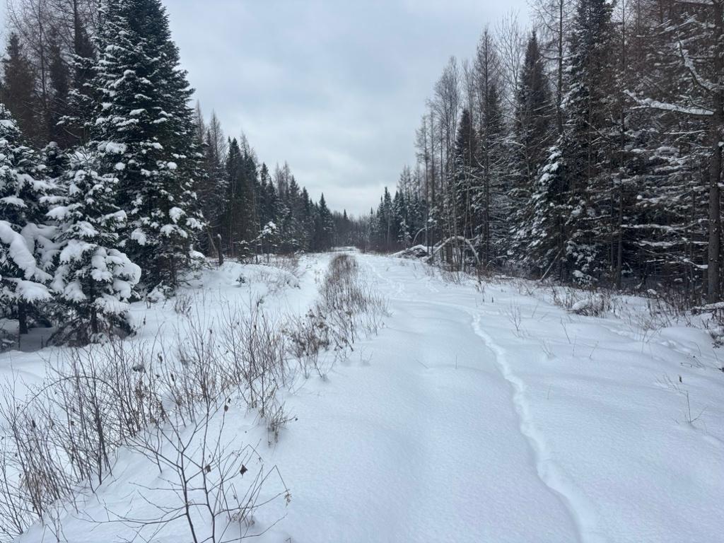 Terre à bois 90 acres | 3198243