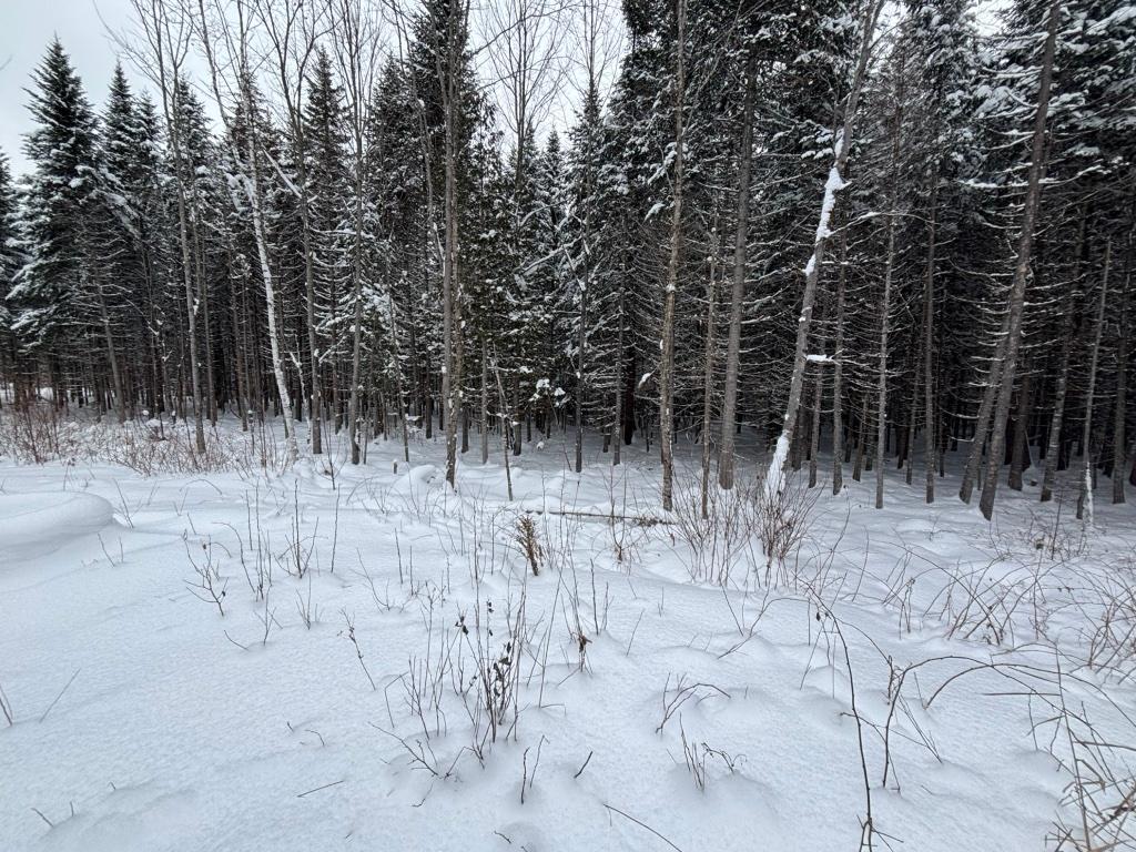 Terre à bois 90 acres | 3198243