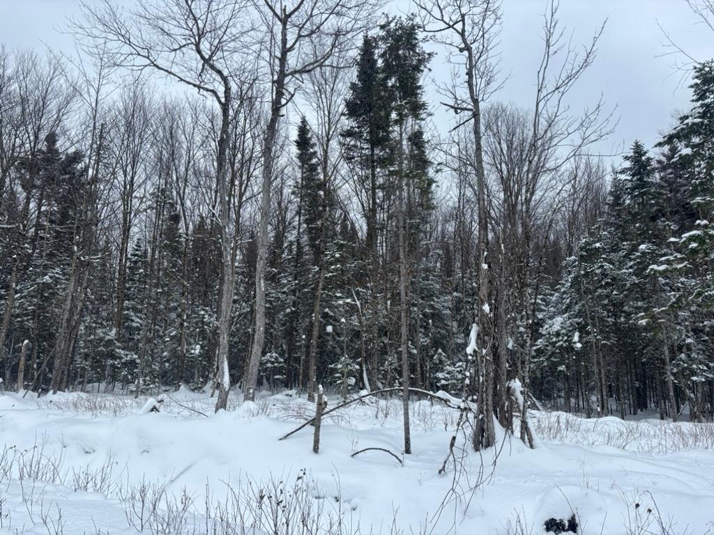 Terre à bois 90 acres | 3198243