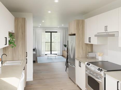 Suberbe 3 1/2 St-Lambert-de-Lauzon | 3198246