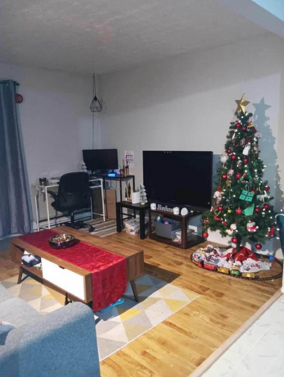 Appartement 5 1/2 au rez-de-chaussée à Richelieu | 3198277