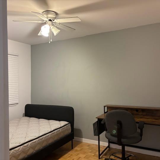 2e étage, propre, ensoleillé et près des commodités et du CEGEP, 500$ pour une occupation | 3199421