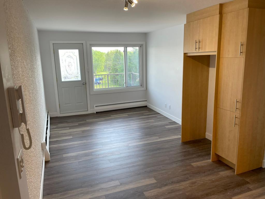 3 1/2 À Louer | 3199425