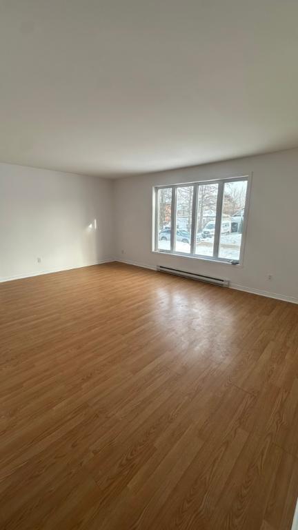 appât à louer | 3199673