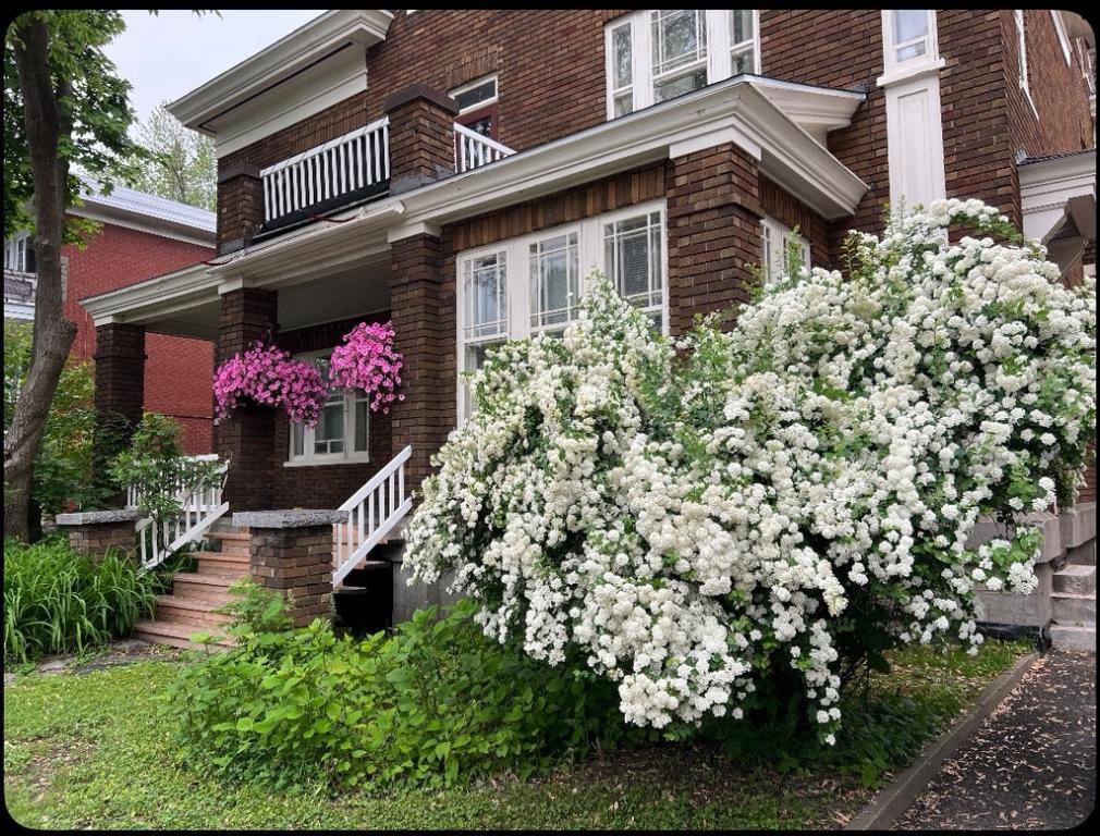 Chambre à louer | 3231876