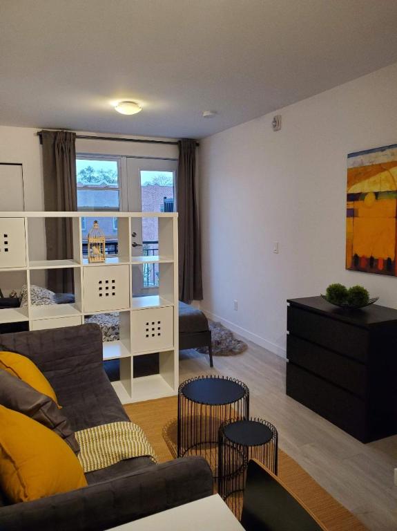 Studio - Montréal - $1,145 /mo | 3199832