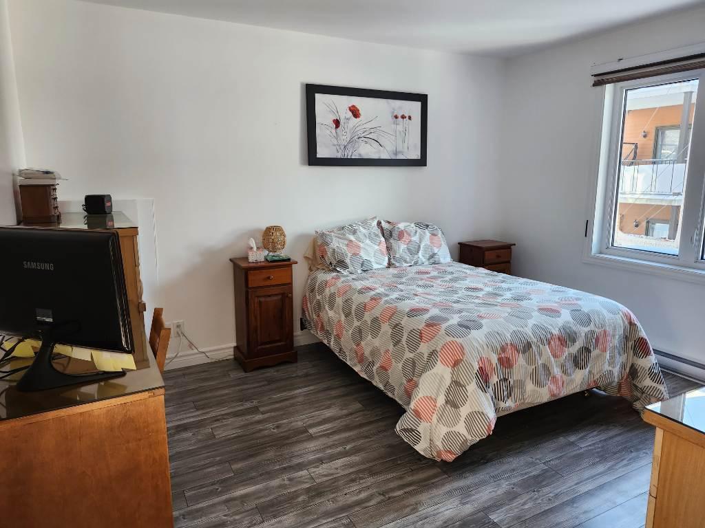 Grand 4 1/2 à louer très lumineux à St-Apollinaire. Libre le 1er mars 2026. Cessation de bail | 3199841