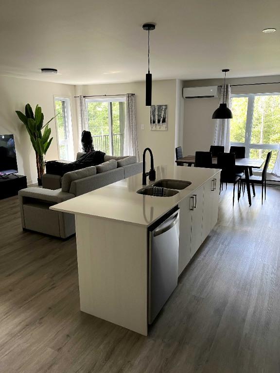 4 et 1/2 (2 chambres) - Sainte-Agathes-des-monts CESSION DE BAIL | 3199897