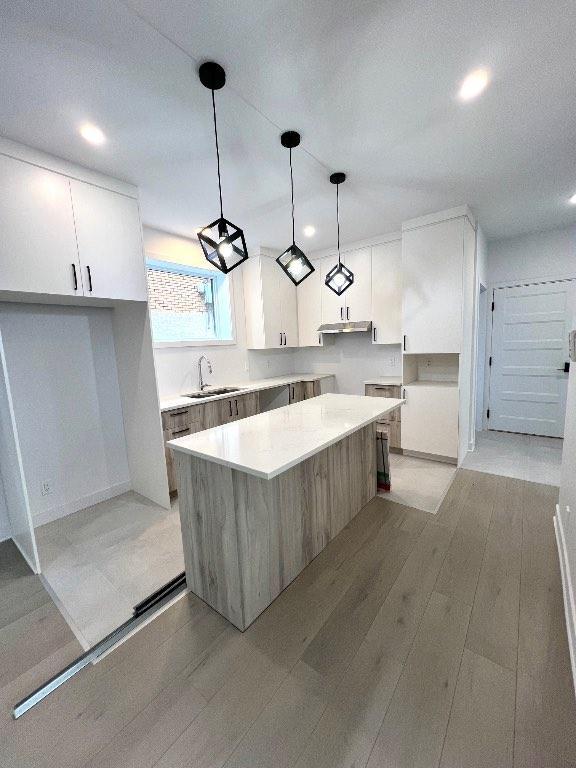 41/2 Grand et Neuf libre 1 fevrier St-hyacinthe près de l’hôpital | 3199902