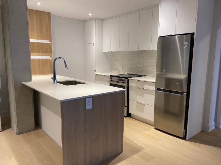 1 CH - 1 SDB - Montreal - $1,700 /mo | 3199913
