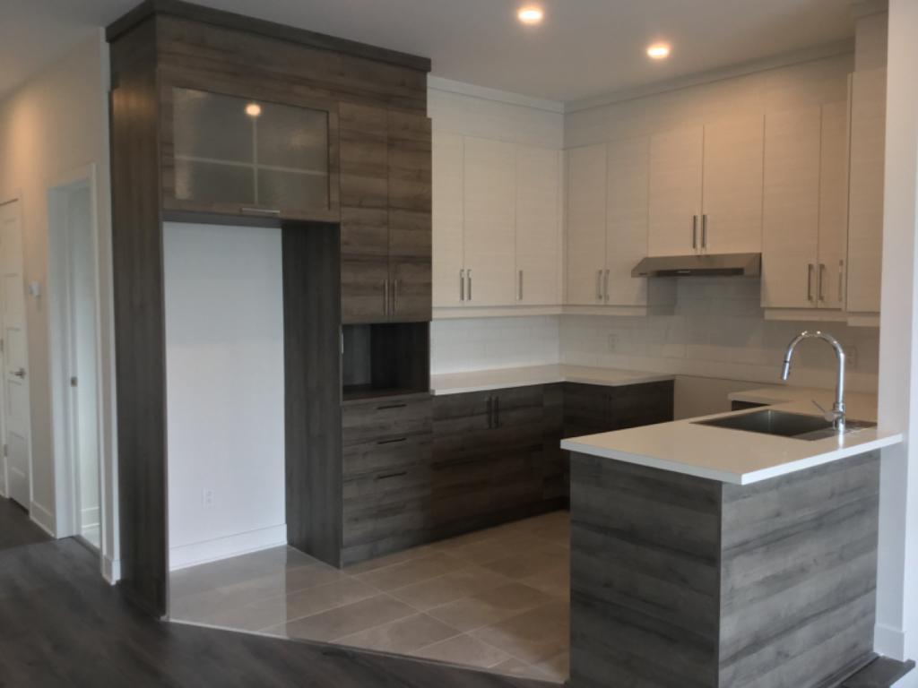 4 1/2 Mercier Hochelag Maisonneuve (Tétreaultville) Construction 2018 | 3199922