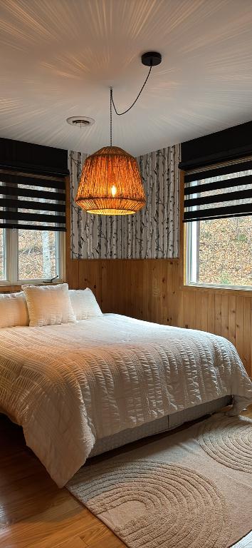 Charmant chalet suisse intergénération | 3199996