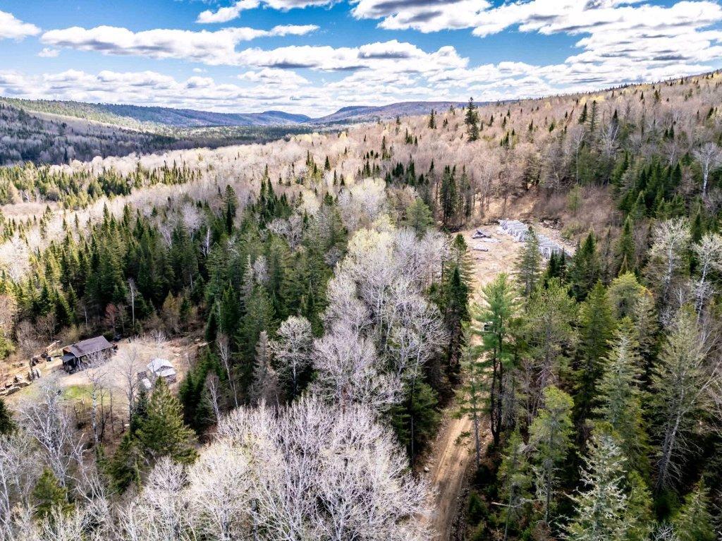 Terrain boisé prêt a construire St-Alexis des Monts | 3204120