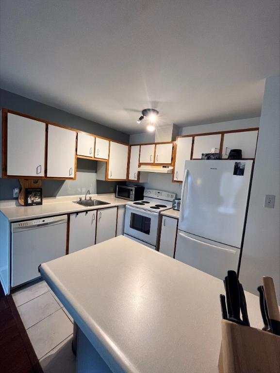 P.E. Trudeau grand 3 1/2 | 3200212