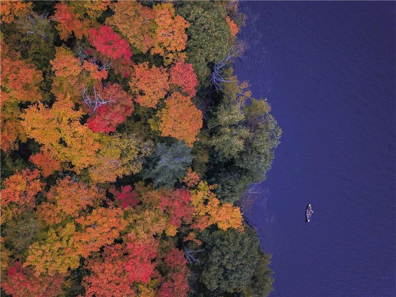 Cottage rental Chelsea Quebec | 3200240