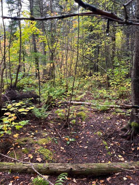 Grand terrain à Sainte Anne Des Monts avec petite rivière. | 3204604
