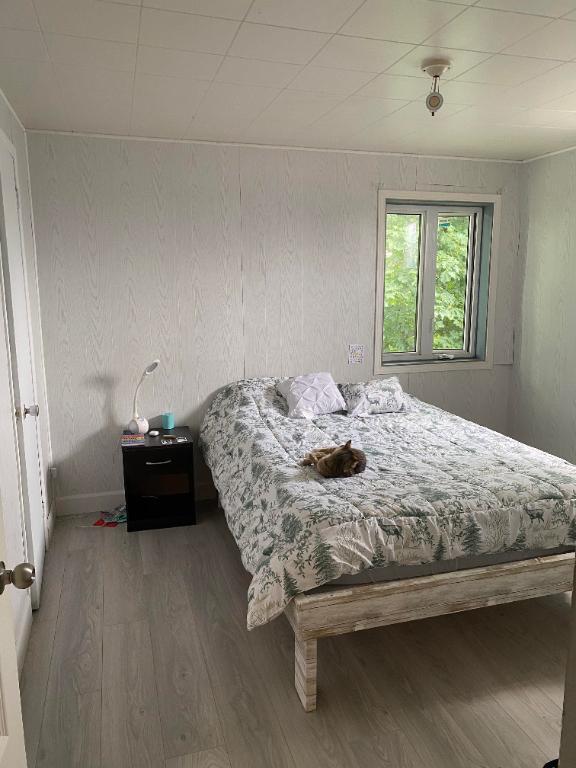 Logement 3 1/2 disponible juillet 2026 | 3200555