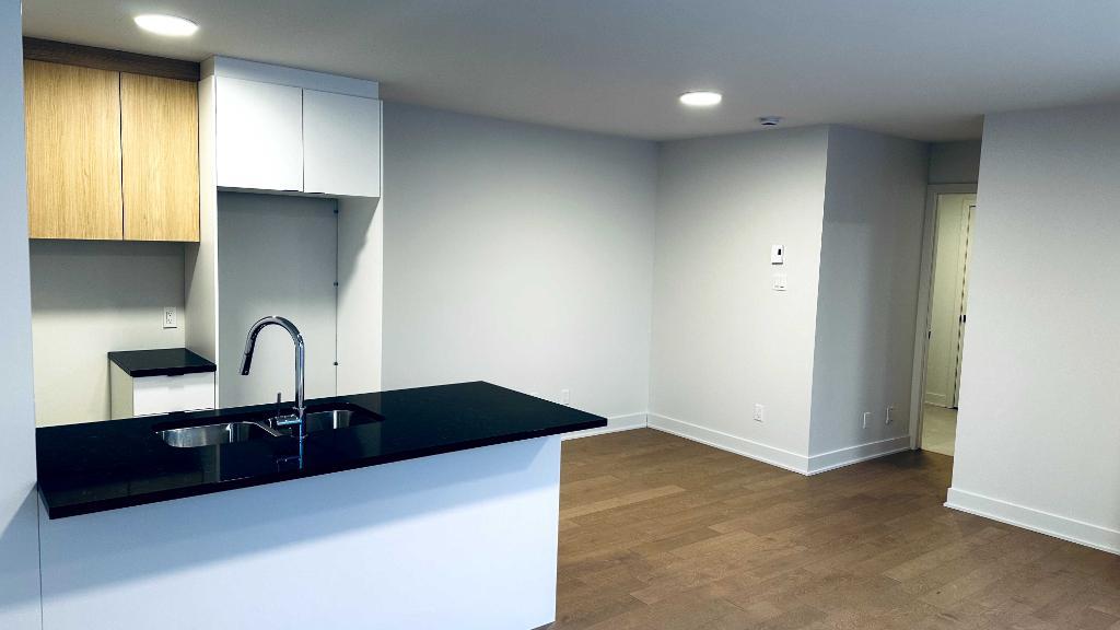 3 ½ Demi-sous-sol, proche de Grande allée / montée St-Hubert | 3200568