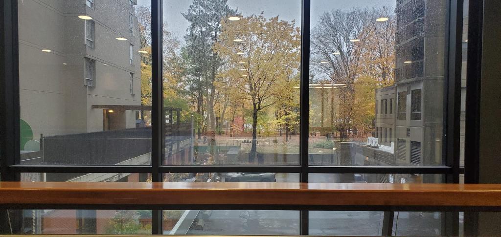 Grand 3 1/2 février ou mars Sillery Qc | 3200587