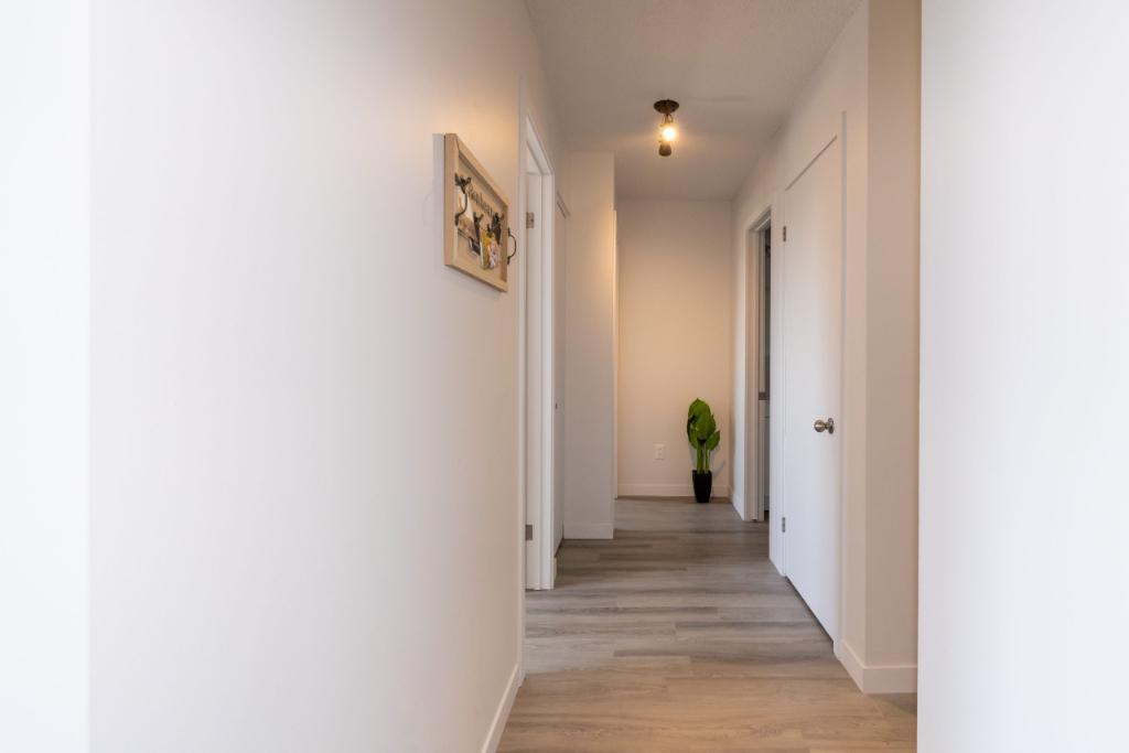 Grand 5 ½ spacieux et bien situé à Jonquière | 3200623