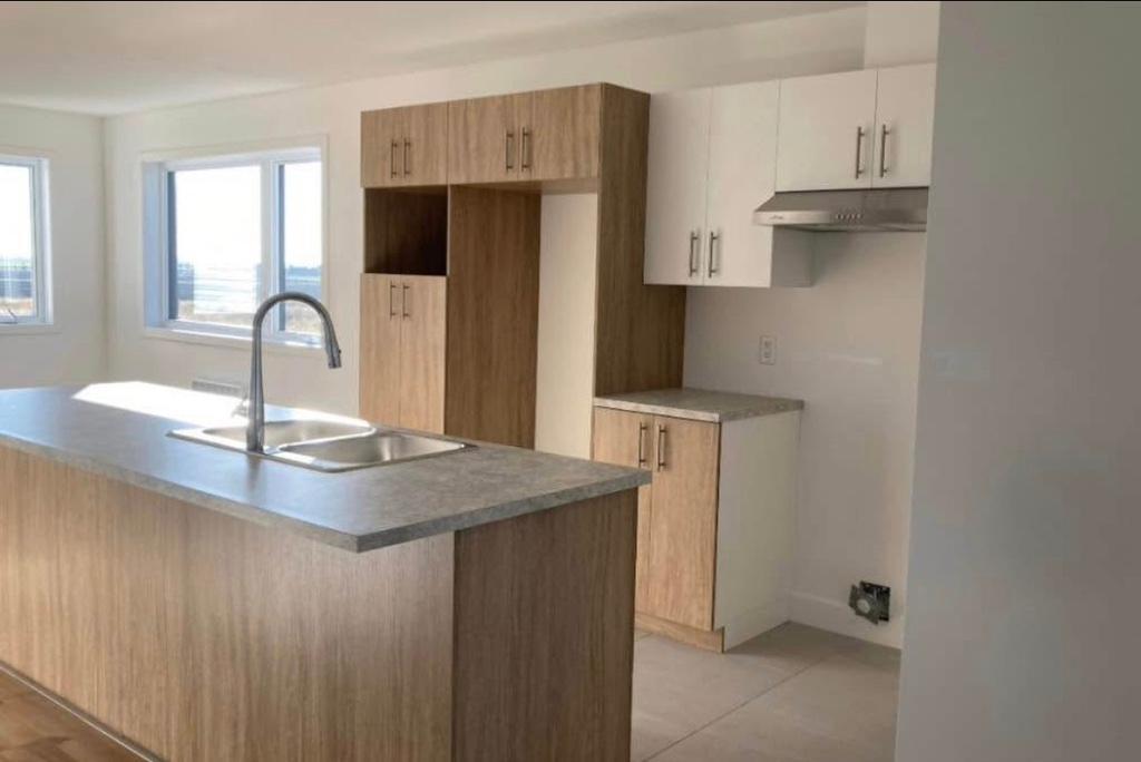 4 1/2 à Louer St-Esprit | 3200630