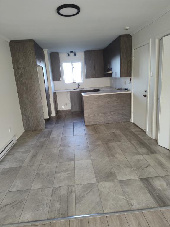 Grand 4 1/2 rénové avec aire ouverte à Ste-Julie | 3200632