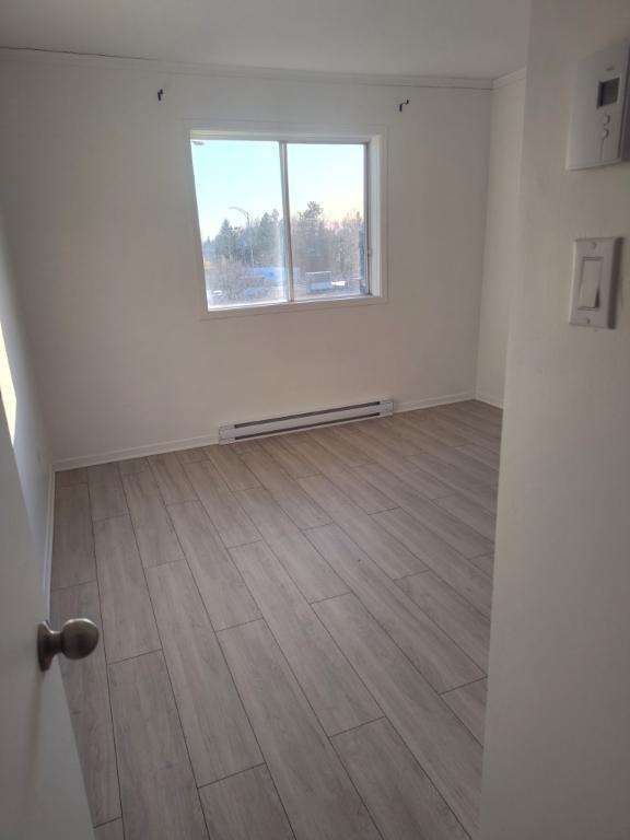 Grand 4 1/2 rénové avec aire ouverte à Ste-Julie | 3200632