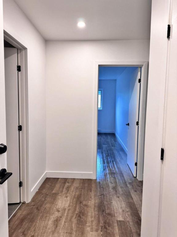 1 CH - 1 SDB - Montreal - $1,495 /mo | 3200633