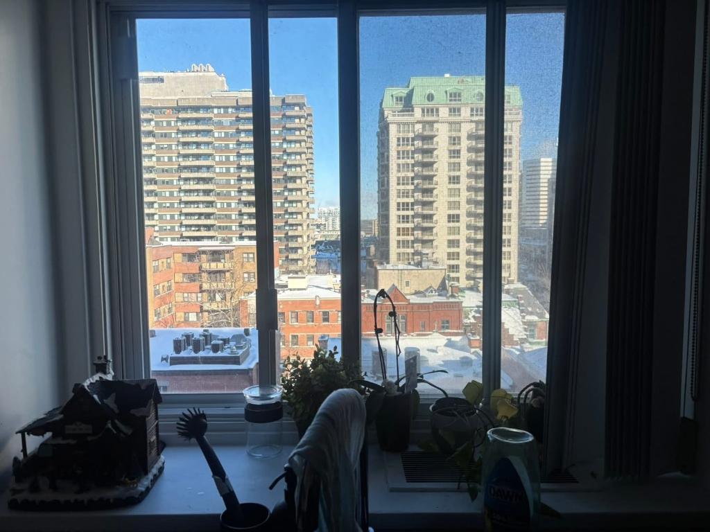 Cession bail – Très grand 3½ SEMI-MEUBLÉ ultra lumineux – Drummond – Métro McGill/Peel – Chauffage/Eau chaude – Animaux OK | 3200636