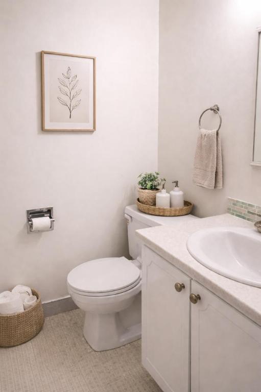 1 CH - 1 SDB - Montréal - $1,155 /mo | 3201470