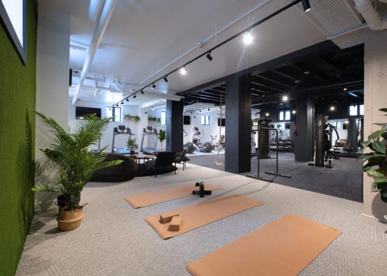 3 ½ entièrement meublé à louer Montcalm / Saint-Sacrement juillet 2026 | 3201552