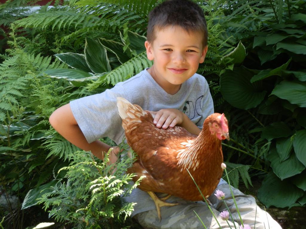 Chalet à louer Mansonville en Estrie (lac,kayak,bicycle,nature sauvage, etc.) Près Owl's Head, Jay Peak et lac Memphrémagog | 3201590