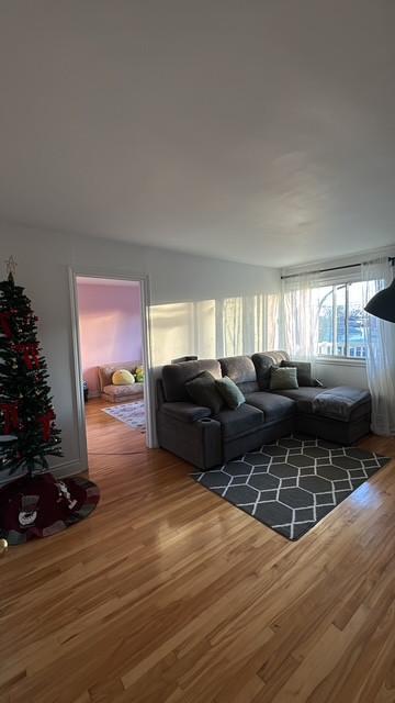 5 1/2 - Longueuil - 1 790 $/mois | 3201859