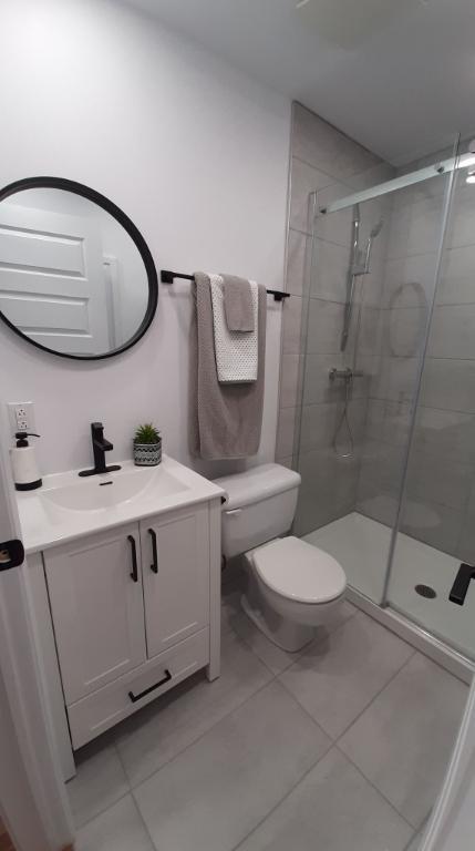 Maison détachée à louer, 4 ch, 2 SDB, stationnement arrière, air climatisé, terrasse arrière, 2 min du métro Monk (ligne verte) | 3201862