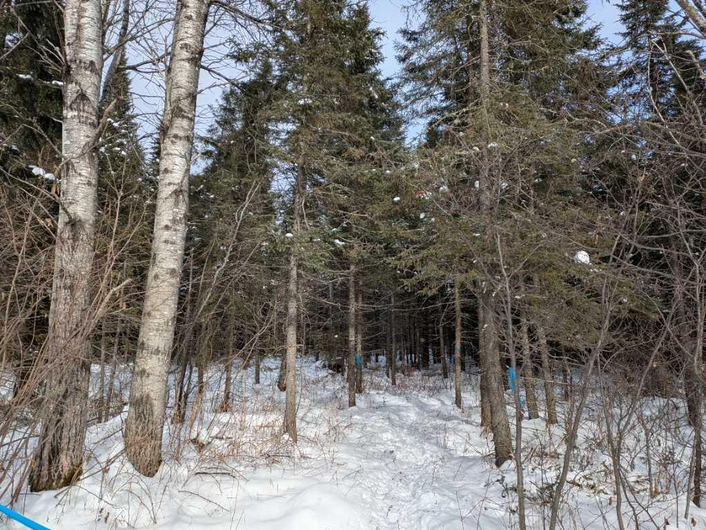 Terre à bois à Ste-Félicité de l’Islet lot zoné blanc cours d’eau | 3206129