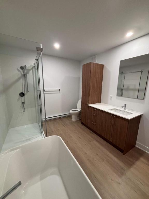 3 CH - 1 SDB - Sherbrooke - $1,440 /mo | 3202083