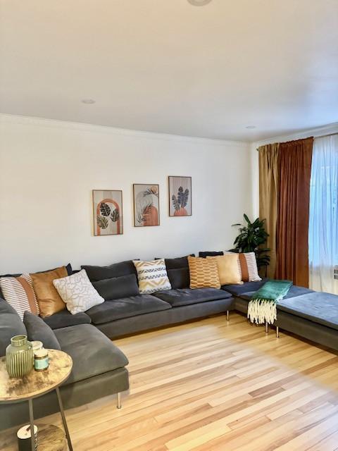 7 1/2 - Montréal - 2 995 $/mois | 3202241