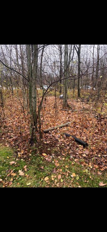 Terrain résidentiel | 3206607